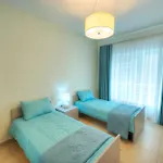 Cambridge Apartment